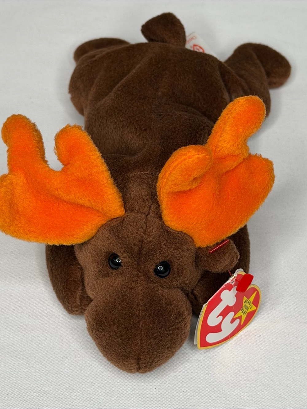 Vintage 1993 Ty Beanie Babies Chocolate the Moose Plush 8.5" NWT